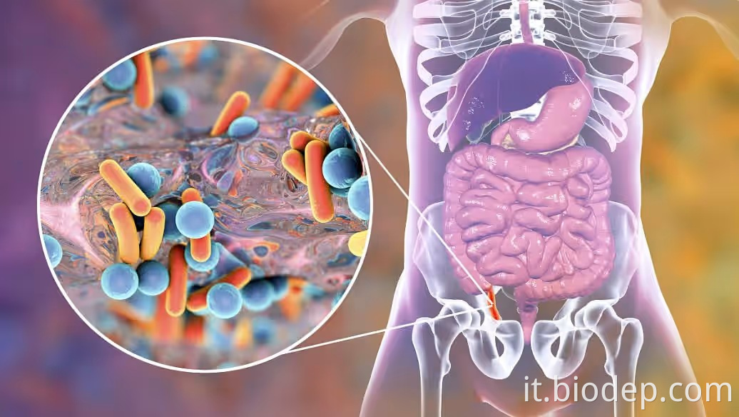 pediococcus acidolactici2